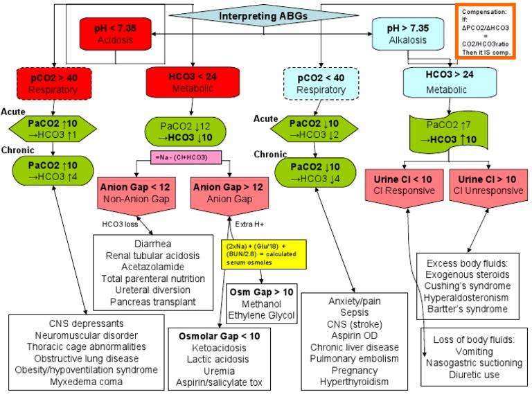 Understanding Acid-Base Disorders | PDF