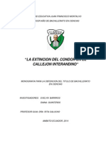 Monografia Extincion Del Condor