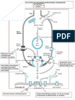 Site of Action of Drugs Acting On Cholinergic Neurohumoral Transmission PDF