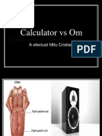 Calculator vs Om(1)