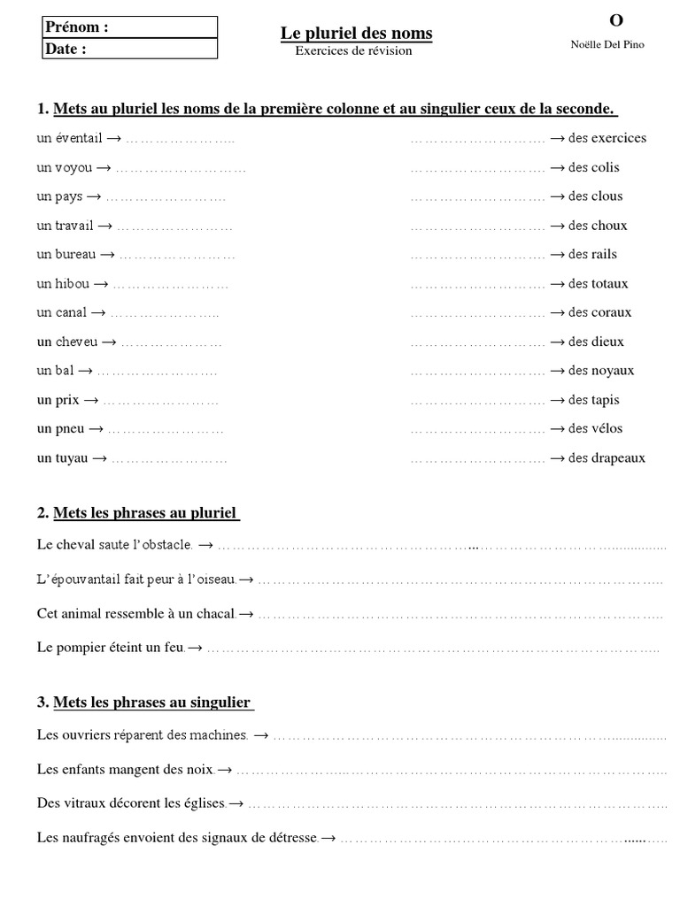 Le Pluriel Des Noms Exercices Pdf Le Pluriel Des Noms Revisions | PDF