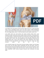 Anatomi Lutut - SOCA