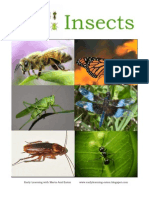 Insects