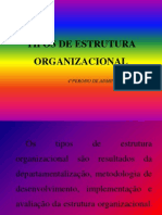 TIPOS DE ESTRUTURA ORGANIZACIONAL.pptx