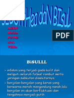 Bisul 2D