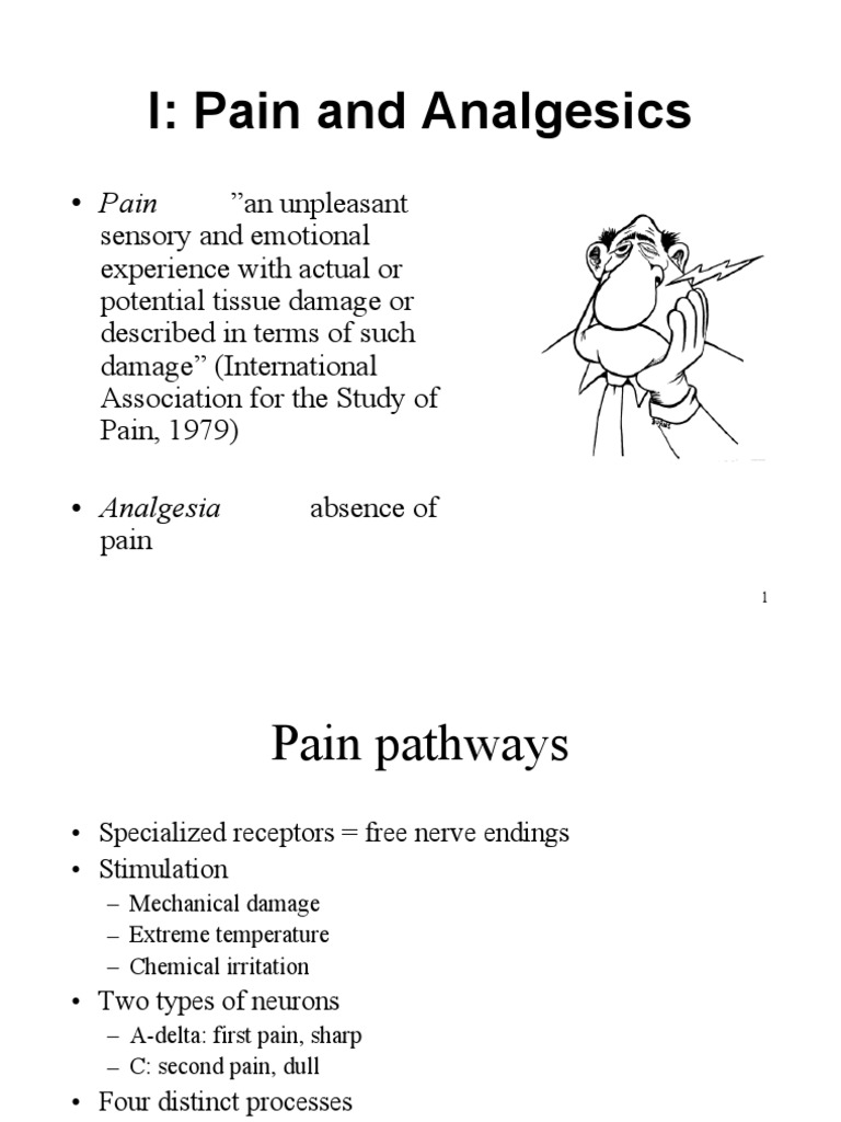 I: Pain and Analgesics | PDF | Analgesic | Pain