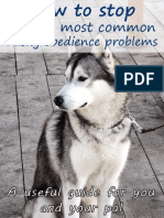 How To Stop 10 Husky Obedience Problems