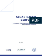 0905 FAO Review Paper on Algae-based Biofuels