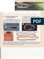CAP.11-PLATELMINTOS.pdf