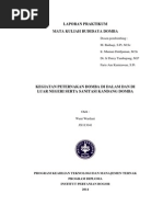 Download Kegiatan Peternakan Domba Di Dalam Dan Di Luar Negeri Serta Sanitasi Kandang Domba by WeniWardani SN225472573 doc pdf