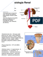 Fisiologia Renal