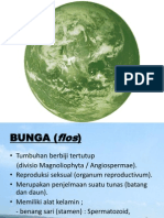 Bunga