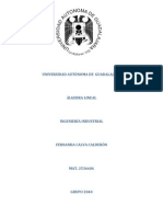 Investigación Matrices Semejantes y Diagonalización