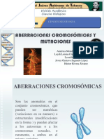 Aberracionescromosomicasymutacionesccromosomicas 110407093526 Phpapp02