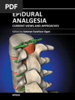 Download Analgesia Epidural Current Views and Approaches by Manuel Ortega SN225573421 doc pdf