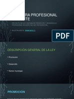 Carrera Profesional Docente (Mud-Osorno)