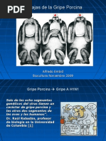 Download Gripe Cerdo by Mizar Petrus SN22558934 doc pdf
