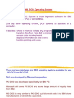 MS-DOS Operating System Basics