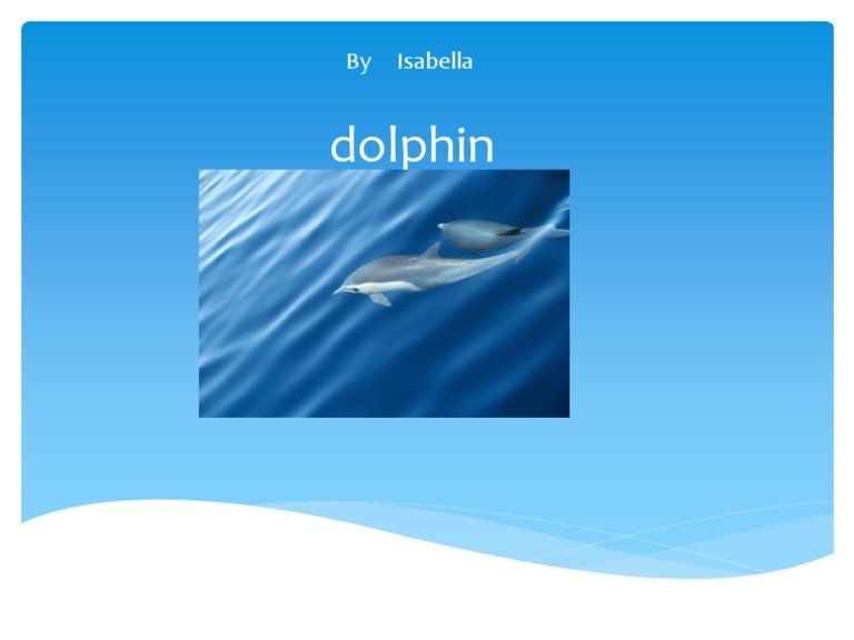 Dolphin Pdf