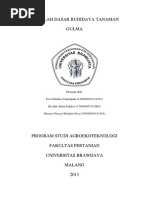 Download Makalah Gulma Kelompok 11 by rivaldi23 SN225623848 doc pdf
