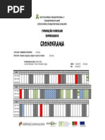 Cronograma 1ºsocorros Amb