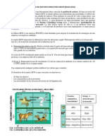 Matriz Del Boston Consulting Group