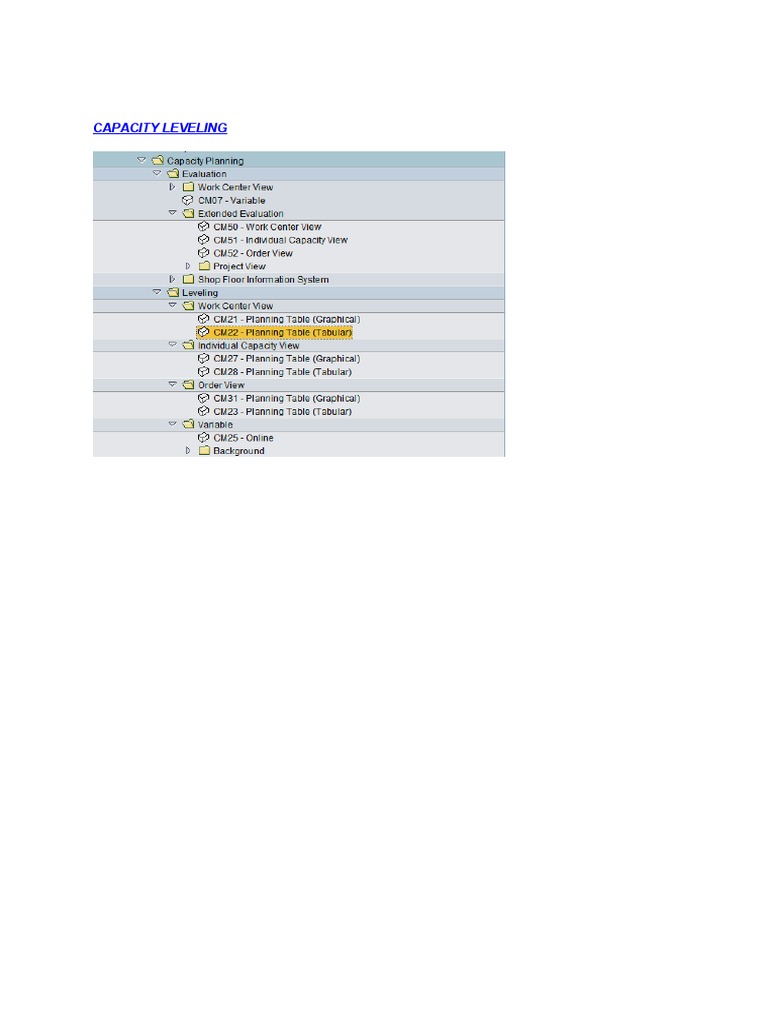 SAP Capacity Leveling Procedure Guide | PDF
