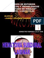 PAE HEMATOMA SUBDURAL