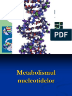 Metabolismul ac.nucleici_cu pagini.ppt