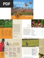 Nature in the City of Chicago