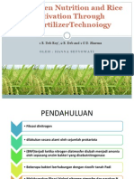 Dinitrogen Nutrition and Rice Cultivation Through Biofertillizer Technology