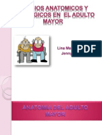 Cambios Anatomomicos y Fisiologicos en El Adulto Mayor