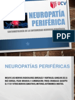 Neuropatía Periférica