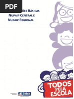 Orientacoes Basicas Nupaip Central e Regional