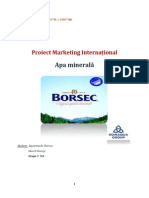 Borsec Marketing International