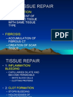 05b Tissue Repair