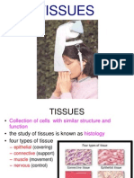 05 Tissues