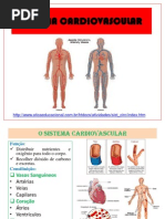 4fc68abf1723b8c8548c115b57f1767b3fdc51e731ccd Sistema Cardiovascular