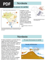 {3775D90C-504C-4B2B-8161-C28D25C40EAE}_Por que chove pouco NE 13-08-08