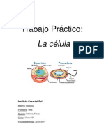 Trabajo Práctico