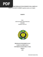 Download Fungi by eyuswap SN225714148 doc pdf