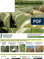 Catálogo de Caña FINAL PDF