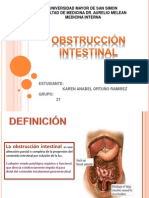 Obstrucción Intestinal Final