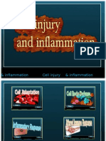 Cell Injury and Inflammation - group 4 SDCA