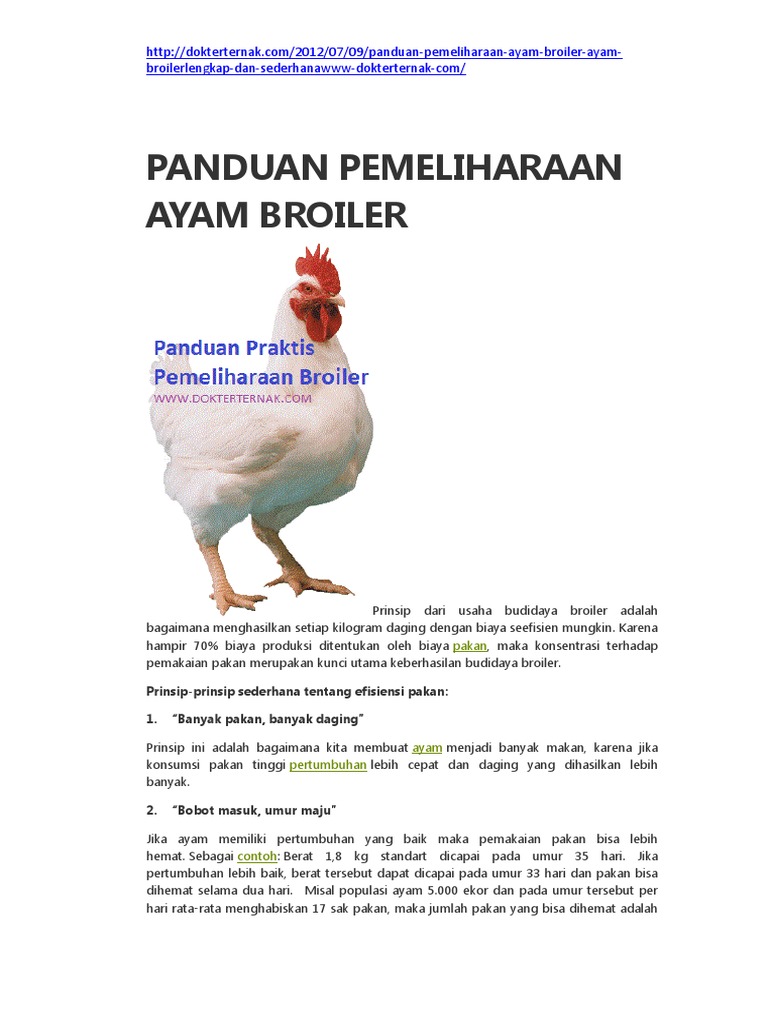 Panduan Pemeliharaan Ayam Broiler | PDF | Kesehatan Holistik