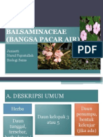 Balsaminaceae (Pacar-Pacaran)