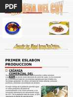 Cadena de Produccion de Cuy