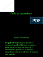 Caile de Determinare