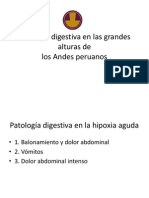 Patología Digestiva en Las Grandes Alturas de