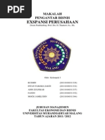 Download Ekspansi by Rusmin Pati SN225759416 doc pdf